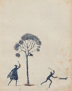 Possum and Goanna Hunting